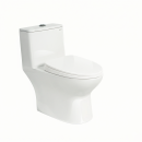WC monoblocco C509