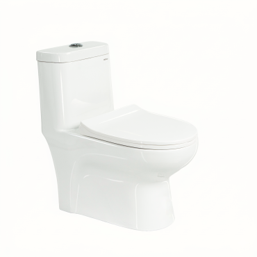 WC monoblocco C502