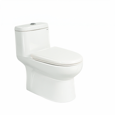 WC monoblocco C505