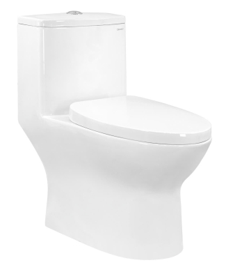 Bàn cầu một khối C509