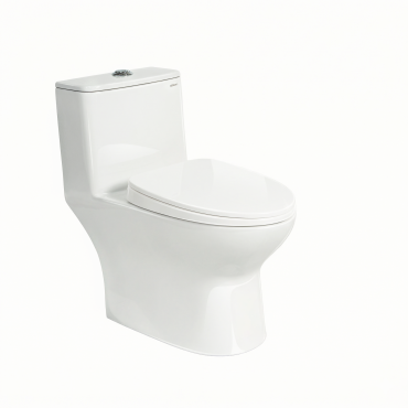 WC monoblocco C509