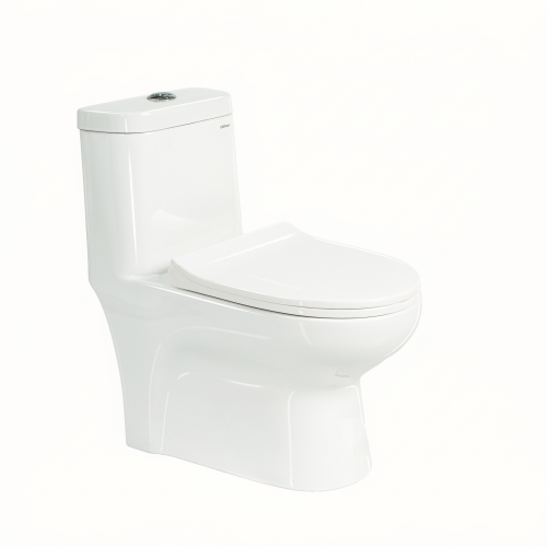 WC monoblocco C502