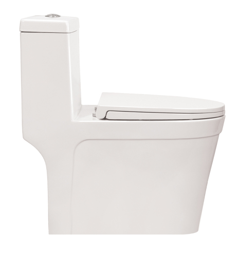 Bàn cầu một khối C507