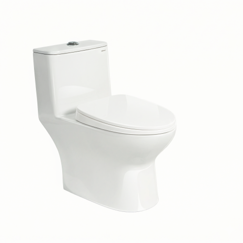 WC monoblocco C509